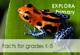 Explora Primary Schools icon