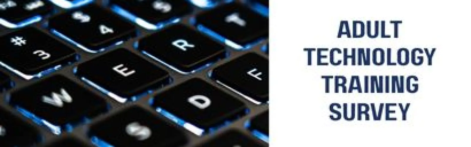 Adult Technology Training Survey